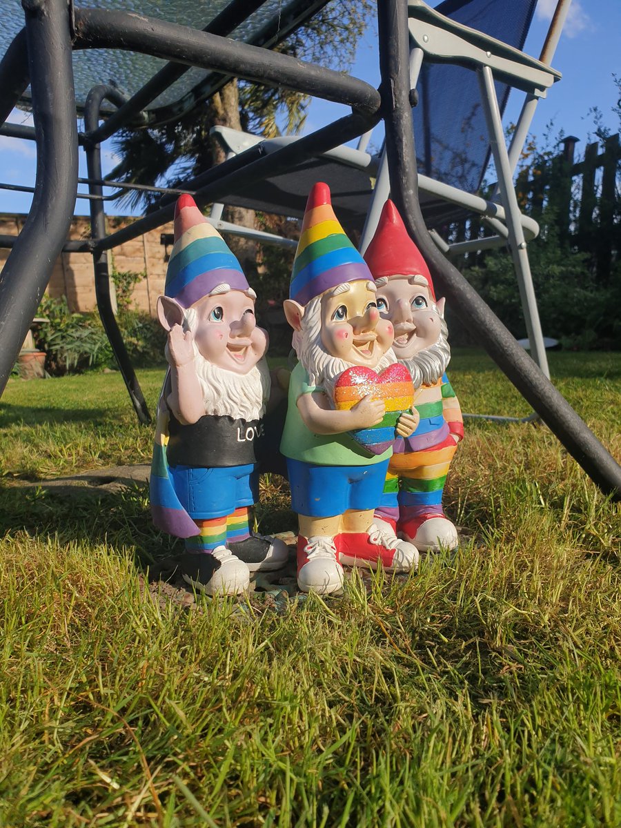phdev85's tweet image. Well that's the first grass cut of 2024 done. The lawn was that long and raggedy the #Gnomes were starting to complain. 
#Gardening #Lawnmowed 🏳️‍🌈🏳️‍⚧️