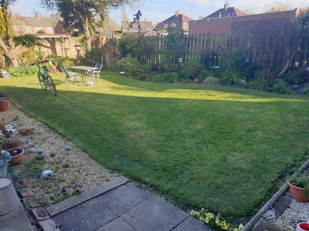 phdev85's tweet image. Well that's the first grass cut of 2024 done. The lawn was that long and raggedy the #Gnomes were starting to complain. 
#Gardening #Lawnmowed 🏳️‍🌈🏳️‍⚧️