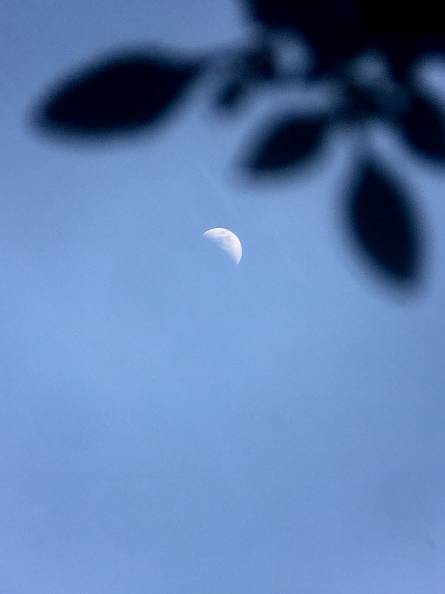 hammad_19_'s tweet image. Quote with your Moon Media ✨