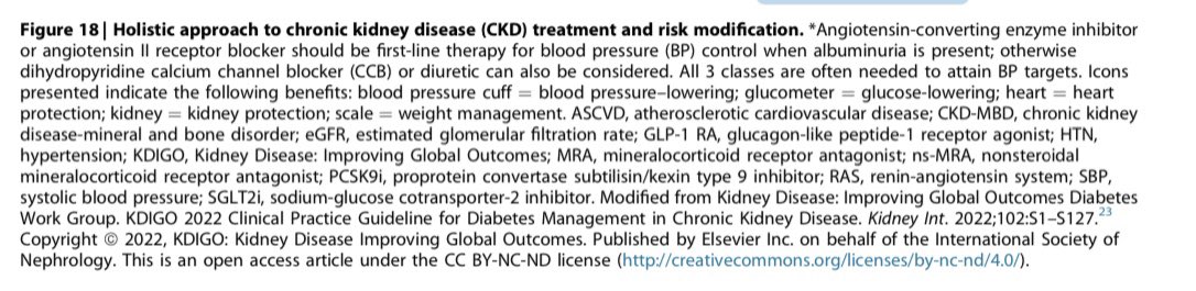 KDIGO2024