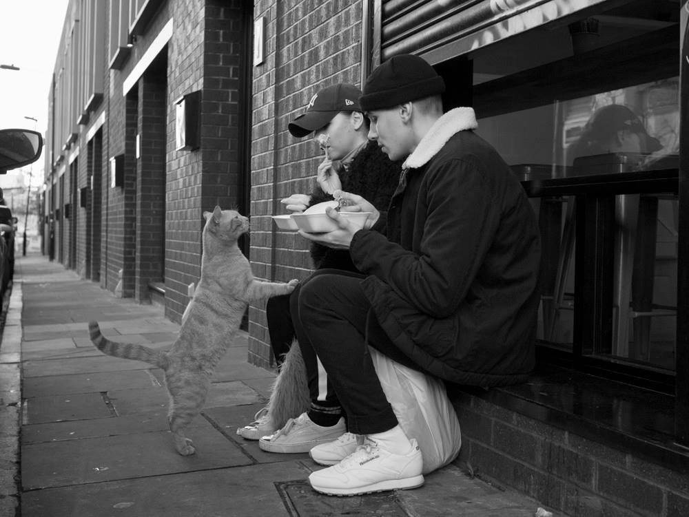 Brick Lane - Shoreditch London #Caturday #streetphotography #blackandwhitephoto #CatsOfTwitter #London #shoreditch