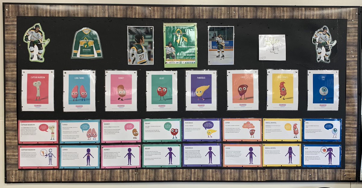 my grade 6 students learned all about the organs of the body, the Humboldt Broncos &amp; Logan Boulet!

#GreenShirtDay #LoganBouletEffect