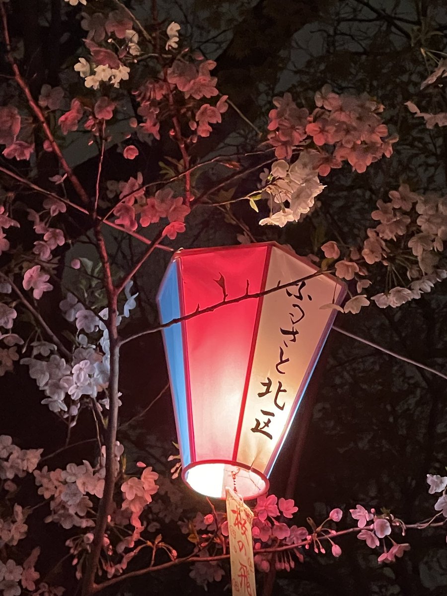 Salomonkey24's tweet photo. 飛鳥山公園の桜🌸
この季節がやってきました😌 https://t.co/iRd3MP4V2p