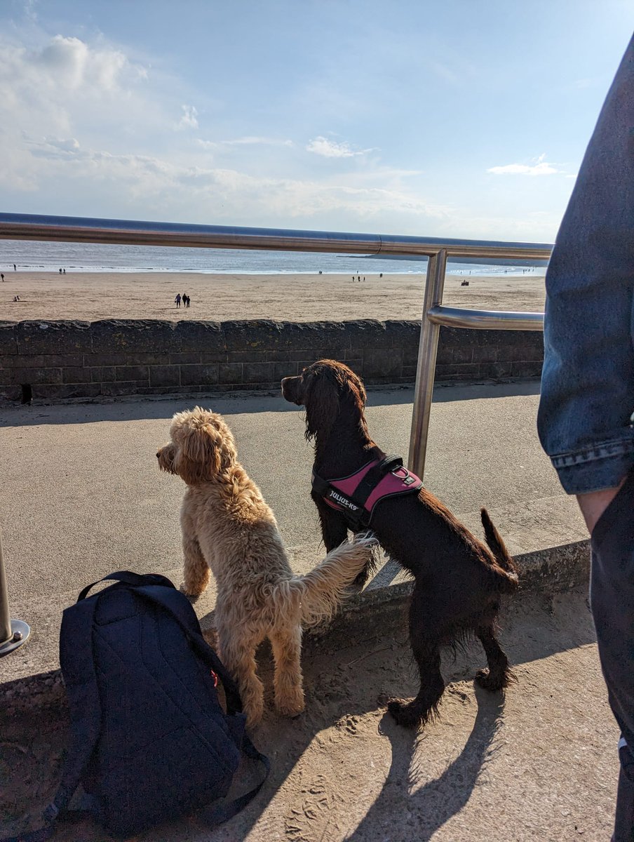 RhiJones7's tweet photo. Porthceri ac Ynys Y Barri 🏴󠁧󠁢󠁷󠁬󠁳󠁿 https://t.co/eKR0l4GOGx