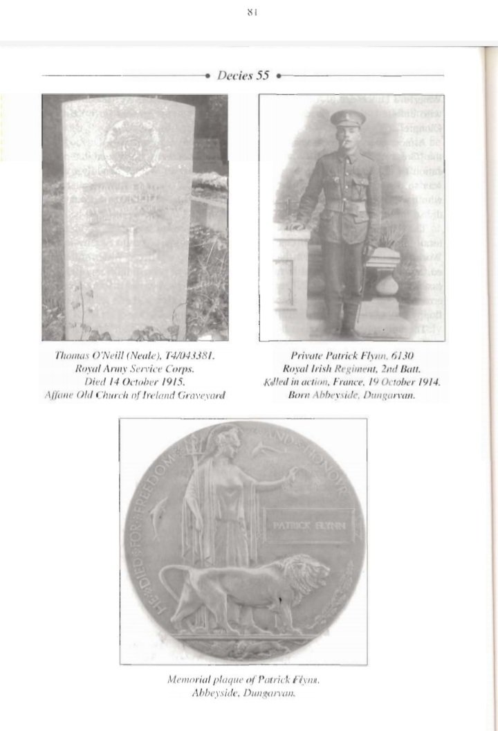 Reading early Decies Journals & came across an article from a 1999 editon by my Gran (RIP) Jim Stacey & Richard Power. They compiled the list of #Waterford men & women who died in #WorldWarOne now all named on the monument at Dungarvan Castle ❤ full article below 👇