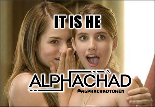 AlphaChadToken's tweet photo. Alpha Chad! - more than a #memecoin, it's a brotherhood. Stealth launch on #Solana is brewing. https://t.co/SzhpyETLlB