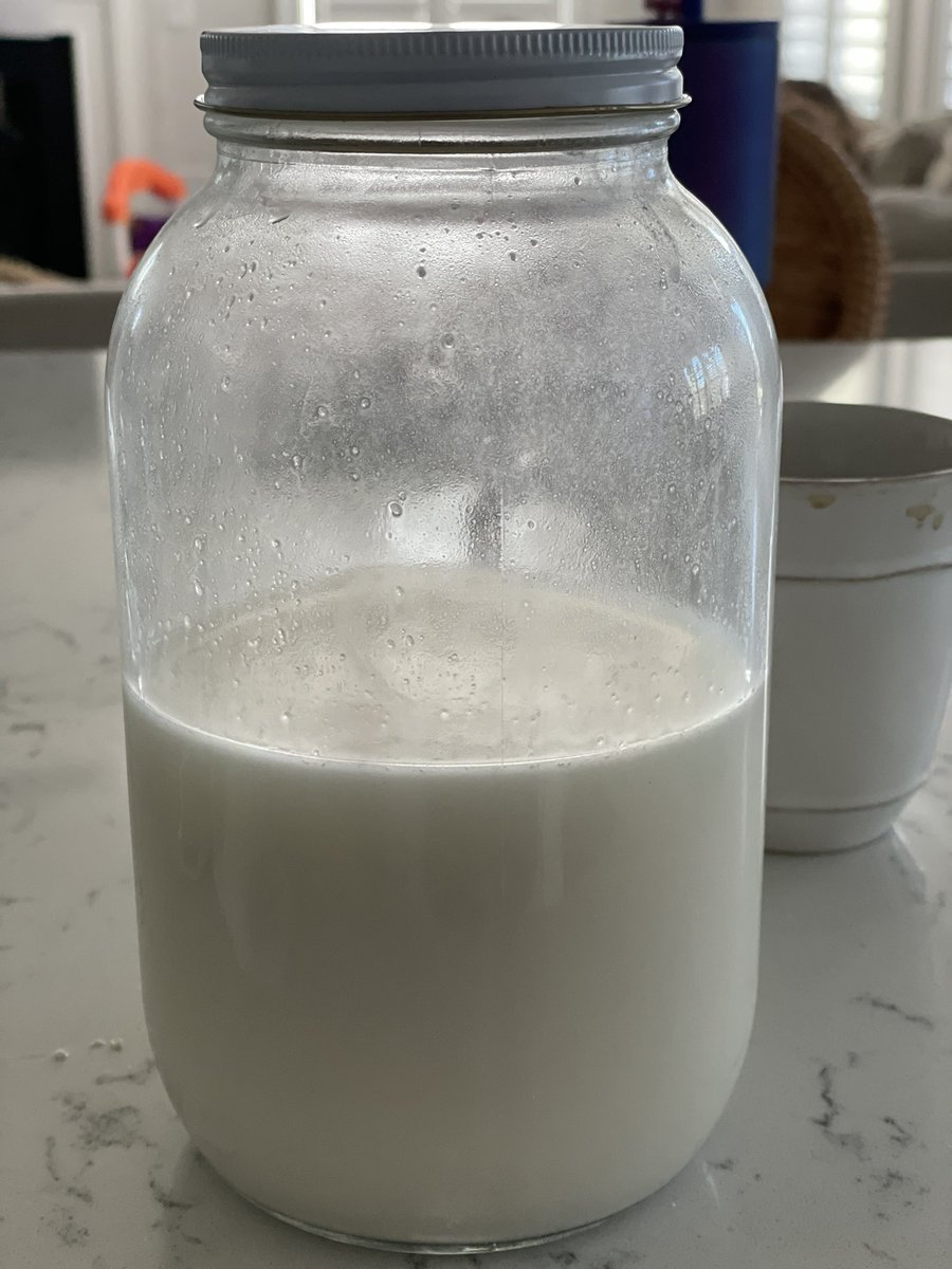 I can hear myself in Kramer’s voice as I explain to my wife why I’m making oat milk creamer for her coffee:

“It’s a scam, Jerry! Big Oat Milk has you in their pocket, paying $12.99 for forty seven cents worth of oats! It’s oats and water, Jerry! Open your eyes!”