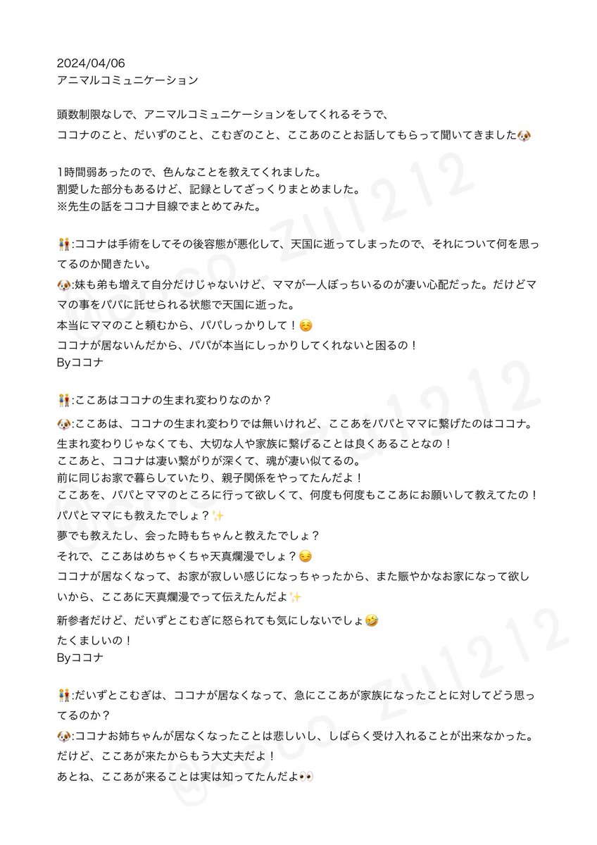 Aya🐶🐾 tweet media