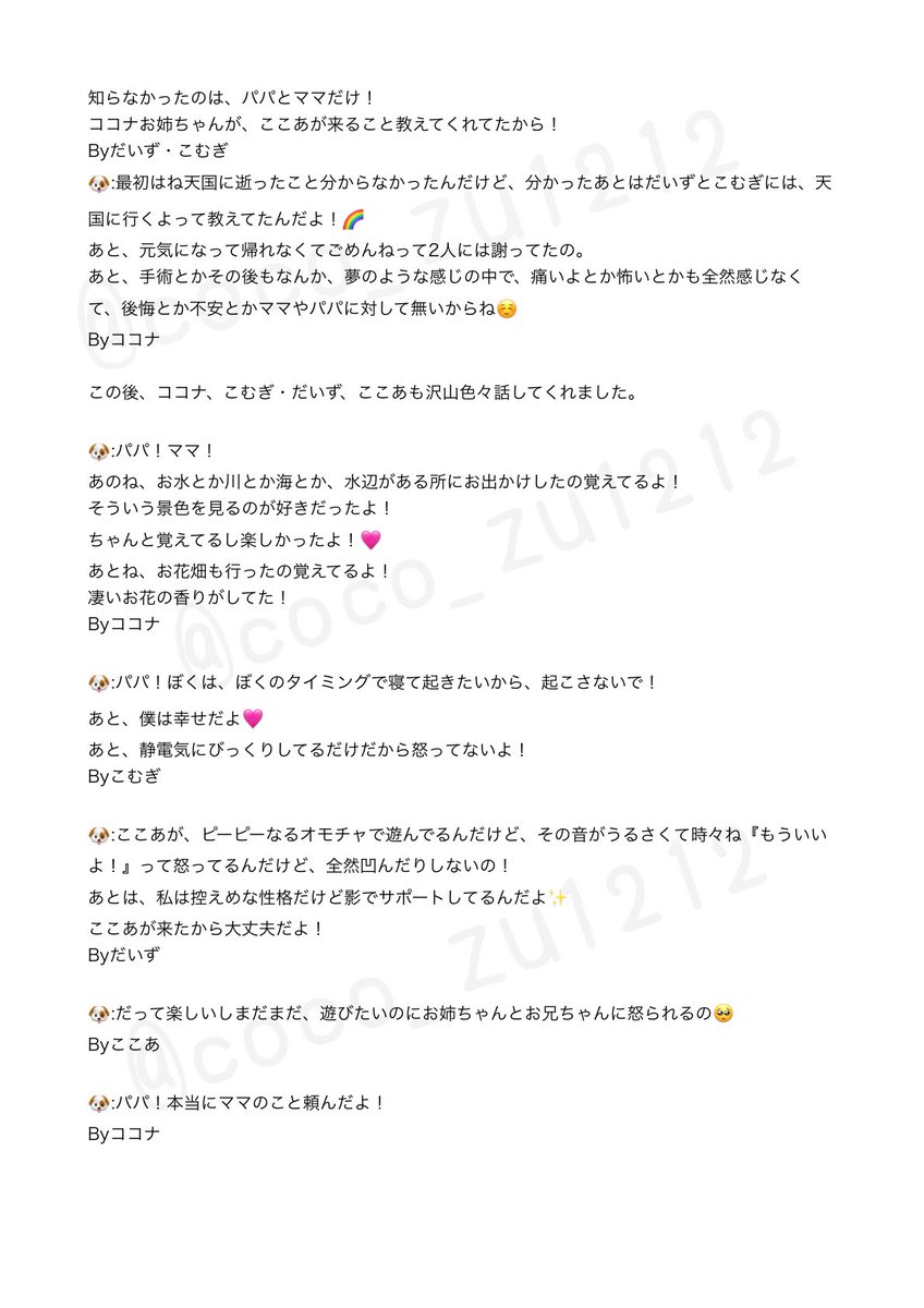 Aya🐶🐾 tweet media