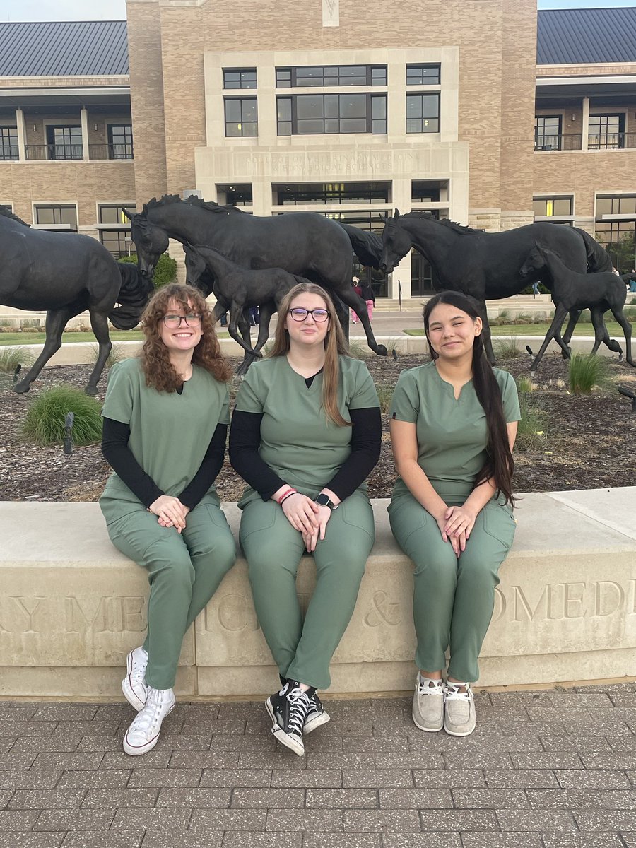 Good luck to our Horse, Vet Med, and Livestock teams competing at area contest today!!! 💙💛 <a href="/langhamcreekhs/">Langham Creek High</a> <a href="/jmtz10403/">Jose Martinez</a>