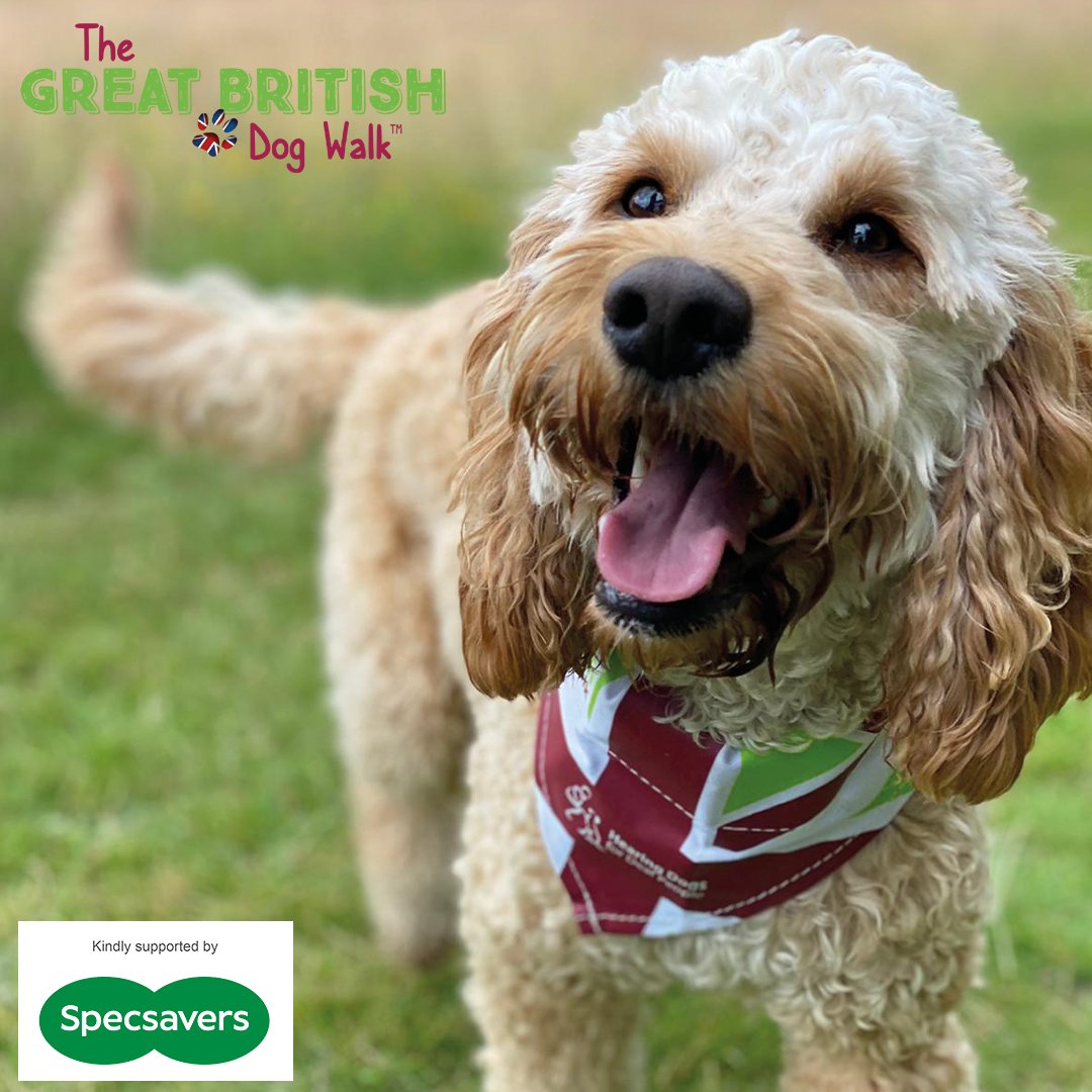 The first Great British Dog Walks of 2024 are only one week away 😃🐾 There are plenty of walks across the UK, so take part in a fun-filled sponsored walk and change the lives of deaf people! Find your nearest walk here >> hearingdogs.org.uk/greatbritishdo…