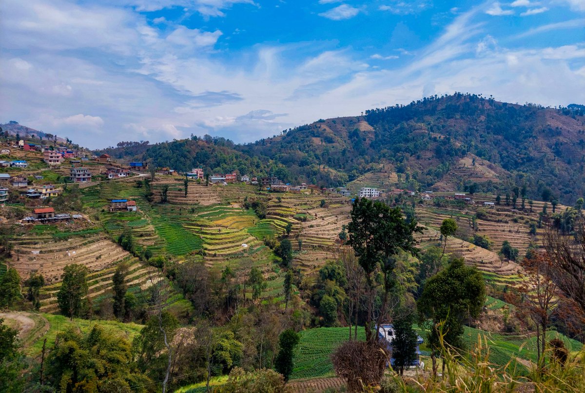 Terrace Field || Chunatal Village || Mesmarizing Landscape 
#Nepal #Nepalnow #visitnepal #travelnepal #explorenepal #discovernepal #himalayas #village #culture #terrace_field #travel #hiking #beauty
