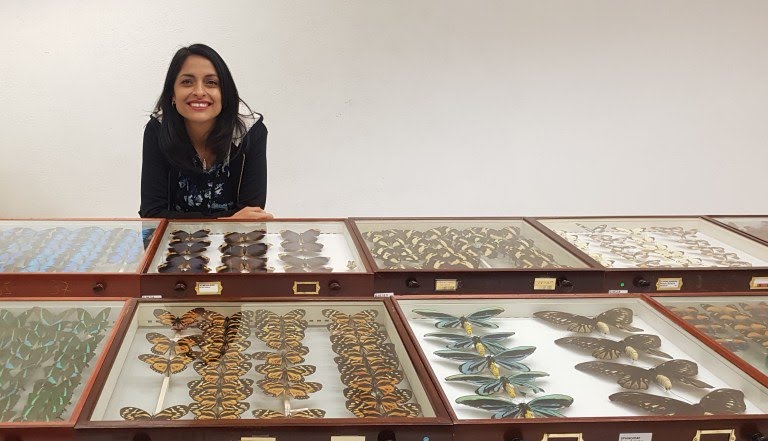 <a href="/InformaCosmos/">Informa Cosmos</a> Blanca Huertas nació en Bogotá y es actualmente la curadora senior de la colección de mariposas más grande y antigua del mundo, con ejemplares que datan desde los años 1600 hasta la actualidad.