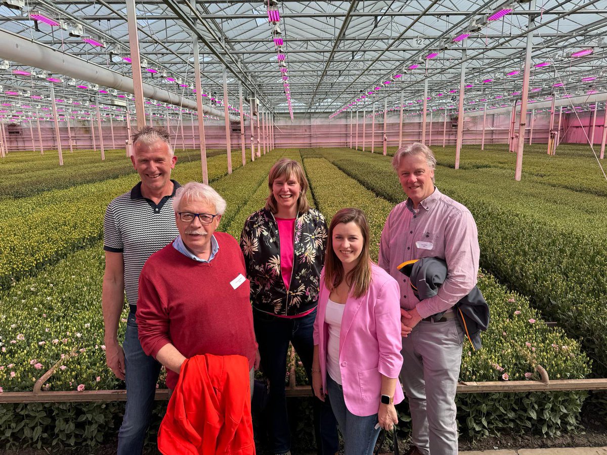 Ook eff tuinen met #cdawestland met een deel van de gemeenteraad en het college bij #komindekas. Dank Tuinbouwjongeren Westland, Jong Fresh en Montana voor het ontvangst en de rondleidingen. #TJWestland #Montana_lisi