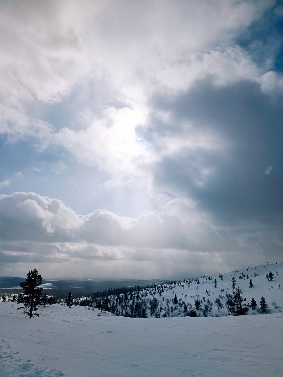 EnbuskaLaura's tweet photo. Pallas on paras.
Mielettömän hieno ulkoilulauantai.
Ihmisen on helppo nauttia olostaan.
Askel on kevyt ja mieli vapaa.
Ja mikä parasta: nämäkin kokemukset sai jakaa perheen ja veljen perheen kanssa.
Tykkään. 🫶
#tunturielämää #muonionkunta #happybynature #onnellisialuonnostaan https://t.co/yVAW8f7Ack