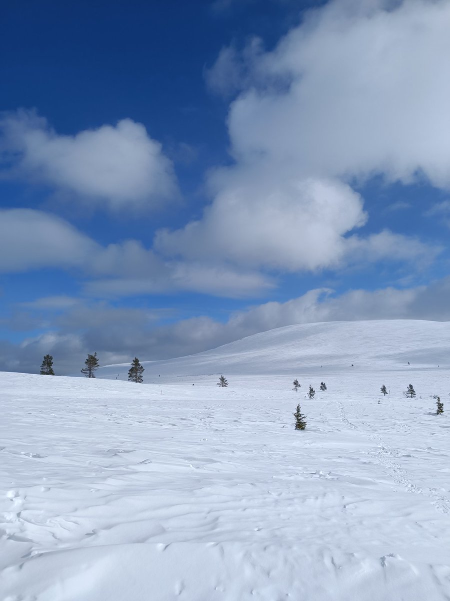 Pallas on paras.
Mielettömän hieno ulkoilulauantai.
Ihmisen on helppo nauttia olostaan.
Askel on kevyt ja mieli vapaa.
Ja mikä parasta: nämäkin kokemukset sai jakaa perheen ja veljen perheen kanssa.
Tykkään. 🫶
#tunturielämää #muonionkunta #happybynature #onnellisialuonnostaan
