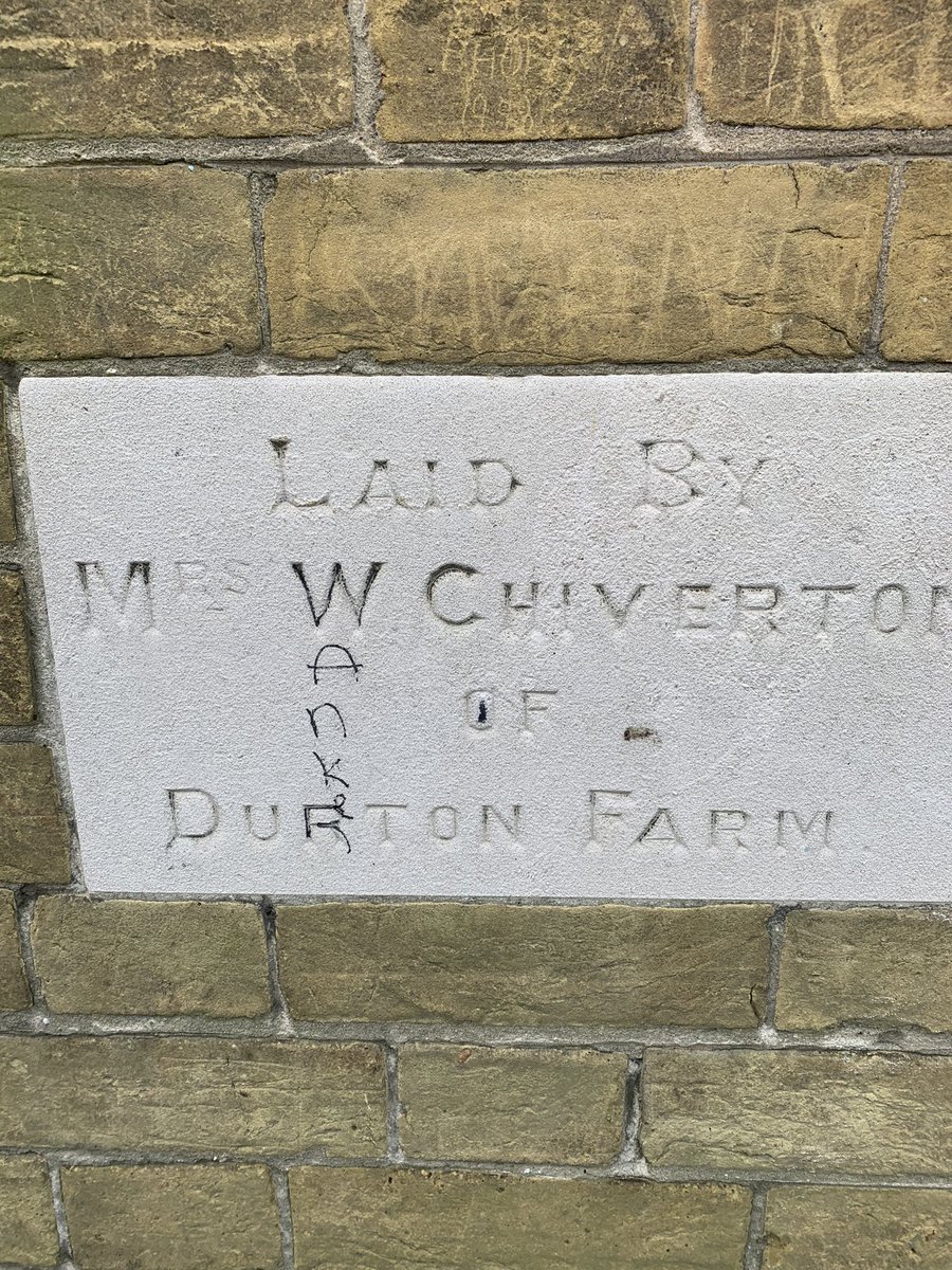 Charlotte Knowles tweet media