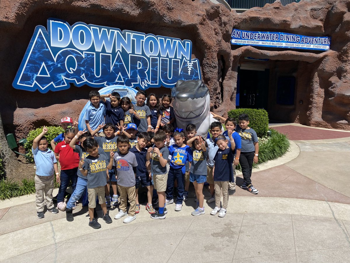 AmericaOrta2's tweet photo. Fieldtrip to the Aquarium @floralicia123 @ReesStars https://t.co/WjFMKye6Xt