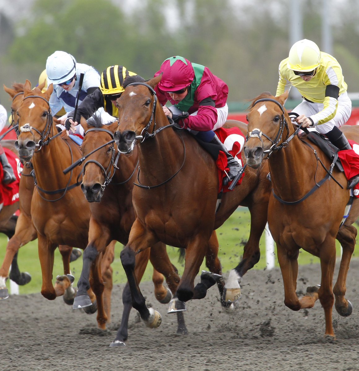 🥇LISTED WINNER🥇ADELAISE wins the Snowdrop Stakes @kemptonparkrace under William Buick for @JosephOBrien2 🙌🏼 Huge congratulations to all connections!⭐️🏆 She was bought from @TheCastlebridge from the 2022 @Tattersalls1766 July Sale #AnEyeForSuccess #BlandfordBloodstock