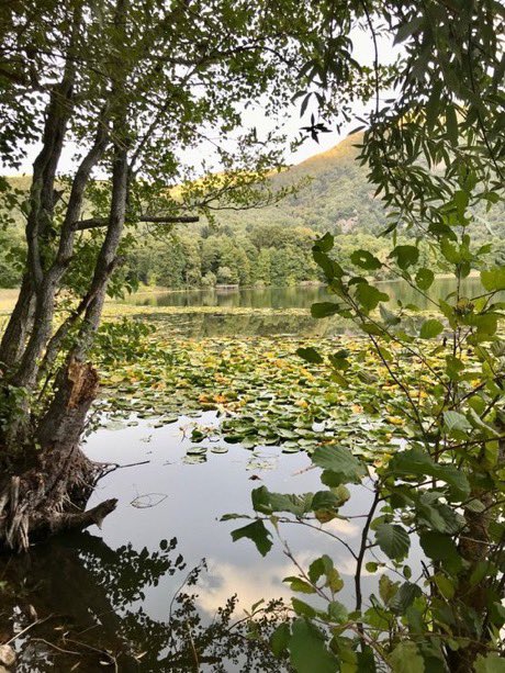 lauparducci's tweet image. 📣JOB ALERT: Only 7 days left to apply! We search a postdoc to join our group in #Rome @sapienza working on ancient #envDNA #sedDNA to assess #volcanic #lakes #biodiversity - project #PRIN2022 contact me for more info (deadline 13/04) Please RT!!