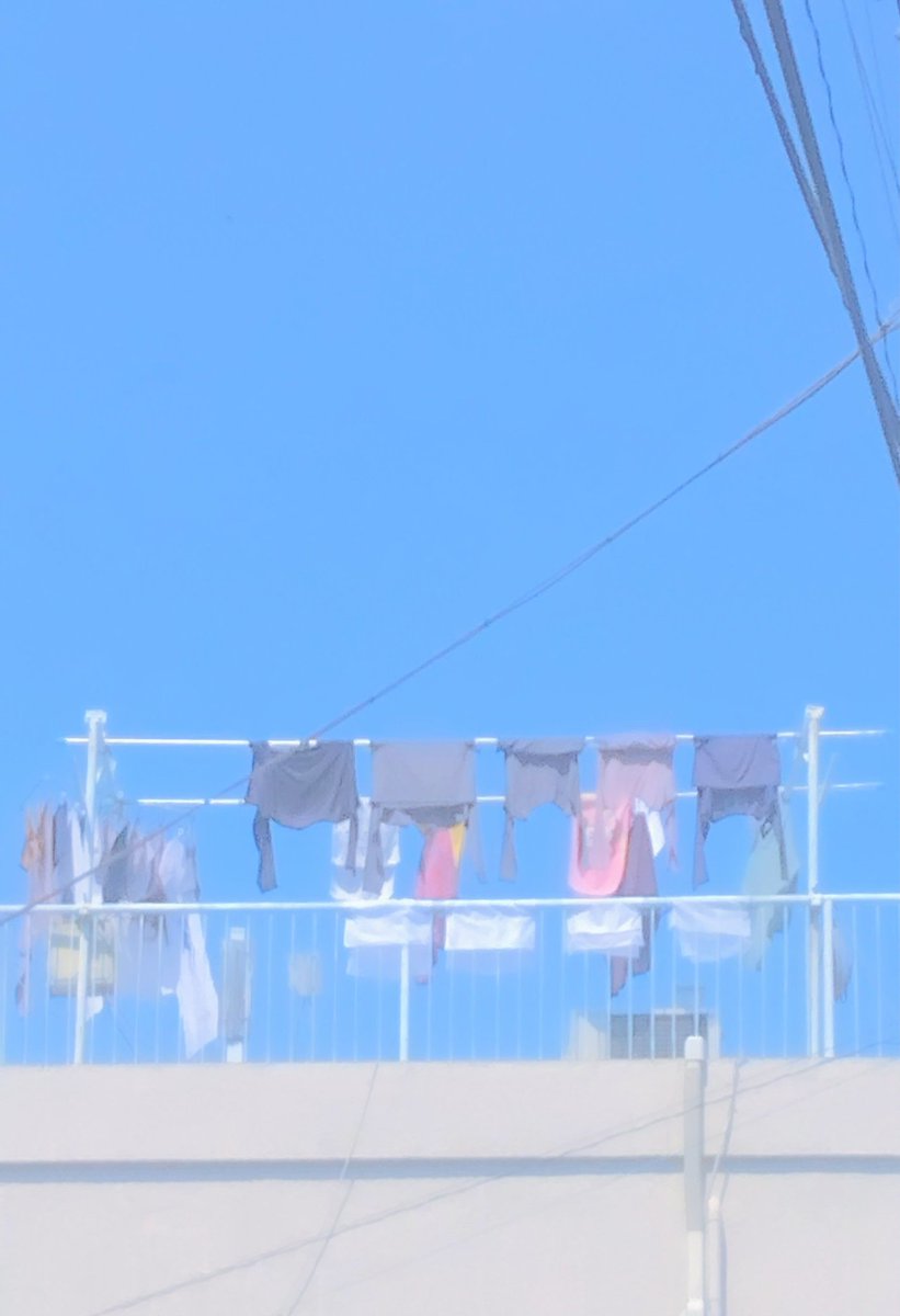 zHH4dVRiJm75638's tweet image. 全てを洗い流す…
　　　　　　　　　春のセンタク✨