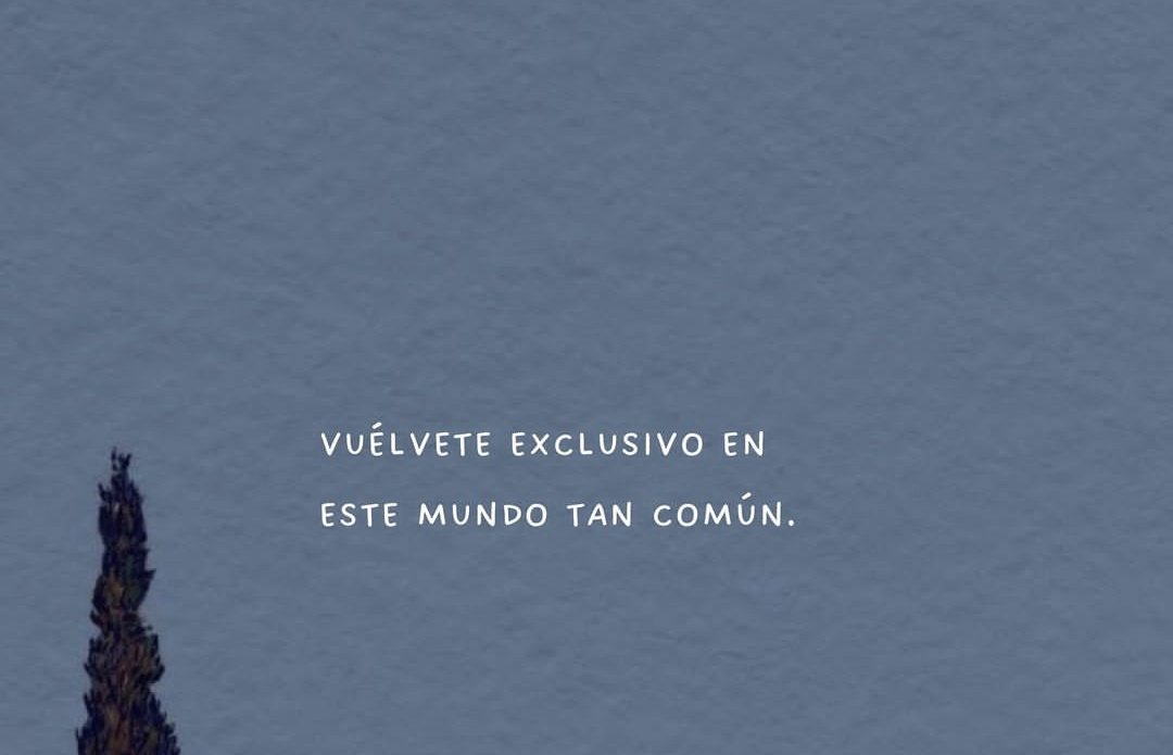 💗🌼Monserrat Martínez🌼💗 (@monserrtmarti) on Twitter photo 