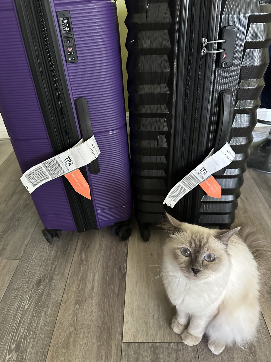 TraMarie44's tweet photo. @British_Airways 
Can you explain to me what paying extra and having these on our cases means? 
We got our luggage last after a 1.5hr wait at Tampa. https://t.co/cEUso0gIMe