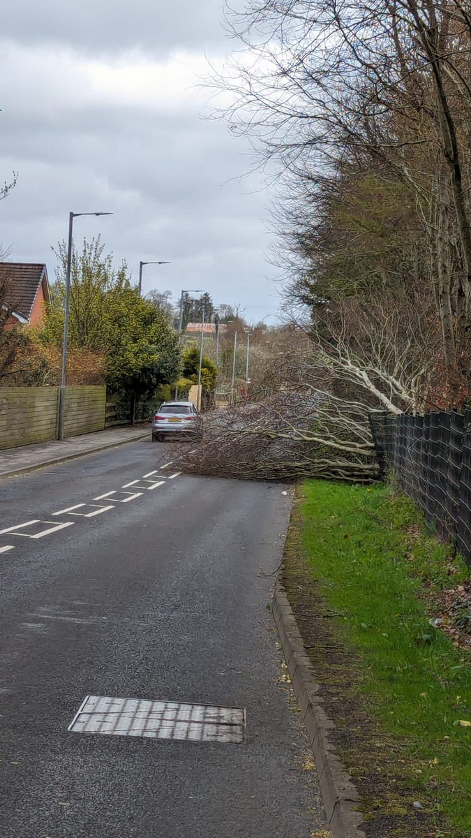 Trees down on Ballyarnett Road, Lenamore Road and racecourse Road, traffic chaotic please avoid the area…. #StormKathleen @DerrySinnFein