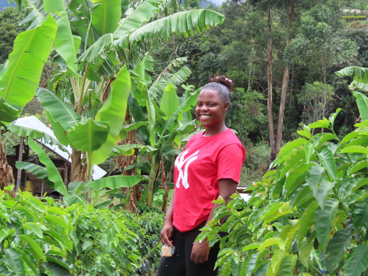 PTITECNiCAFE's tweet photo. Concluye Exitosamente el Proyecto de Fortalecimiento en Buenos Aires, Cauca: Empoderando a la Comunidad Afrodescendiente a través de la Caficultura Sostenible.
 @usaidcolombia  @oimcolombia

Ver más: https://t.co/Gz00iQaeV8 https://t.co/tCEwuS9lq8