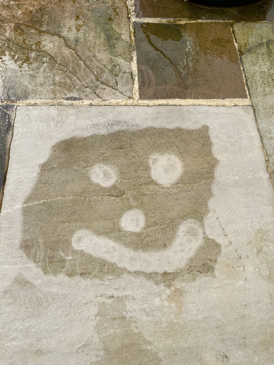 Myrealname1sMark tweet media