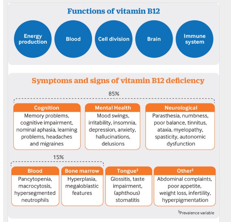 Functions of Vitamin B12

@bmj_latest #vitamin #vitaminb12 #MedEd #MedX #nutrition #nutrients