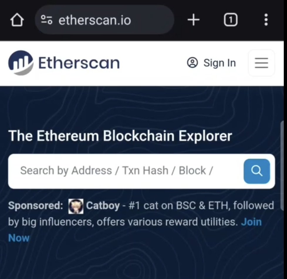 Legacy On BNB 🔶 tweet media