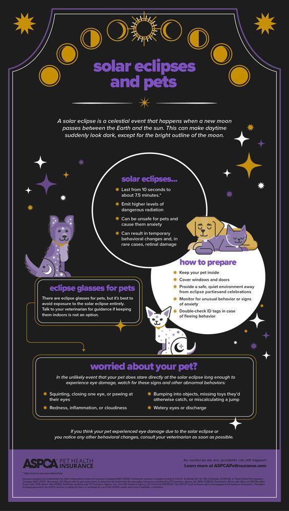 🌒Do you know what to do with pets during a solar eclipse? With a total solar eclipse on its way, let's learn about keeping pets safe during these stunning celestial events: bit.ly/3VFvfE7 #SolarEclipse #SolarEclipseandPets #Pets #PetCare #PetInsurance #ASPCAPetInsurance