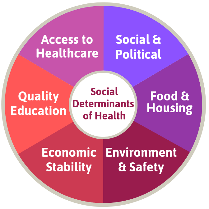 Certintell's tweet photo. Understand how the Social Determinants of Health are impacting your patients: https://t.co/0SsgcFfu8e https://t.co/FvSI8oddXC