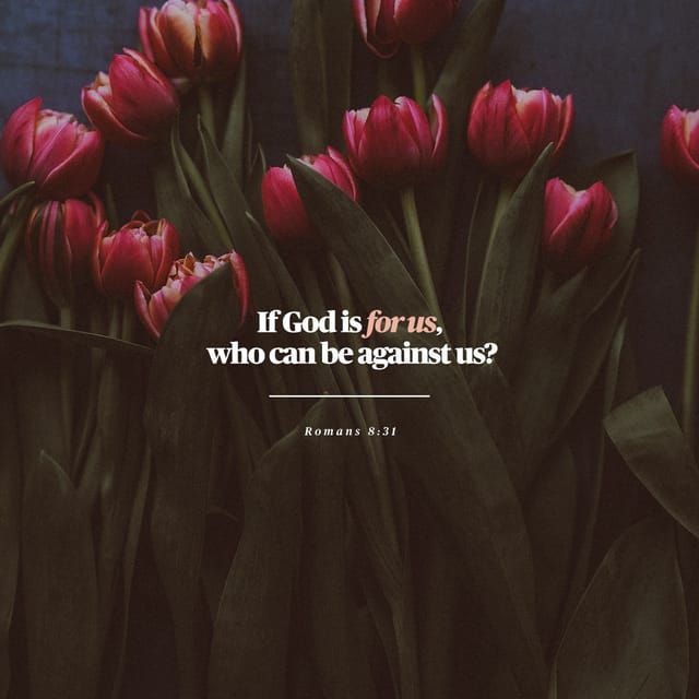 Lyman Methodist Church (@lymanmethodist) on Twitter photo 