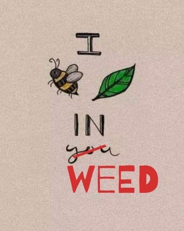 I’ve done the research. I’ve spoken to many doctors, I’ve experienced it myself!  I believe in #Weed ! #Cannabis #LegalizeIt #CannabisCommunity #Mmemberville
