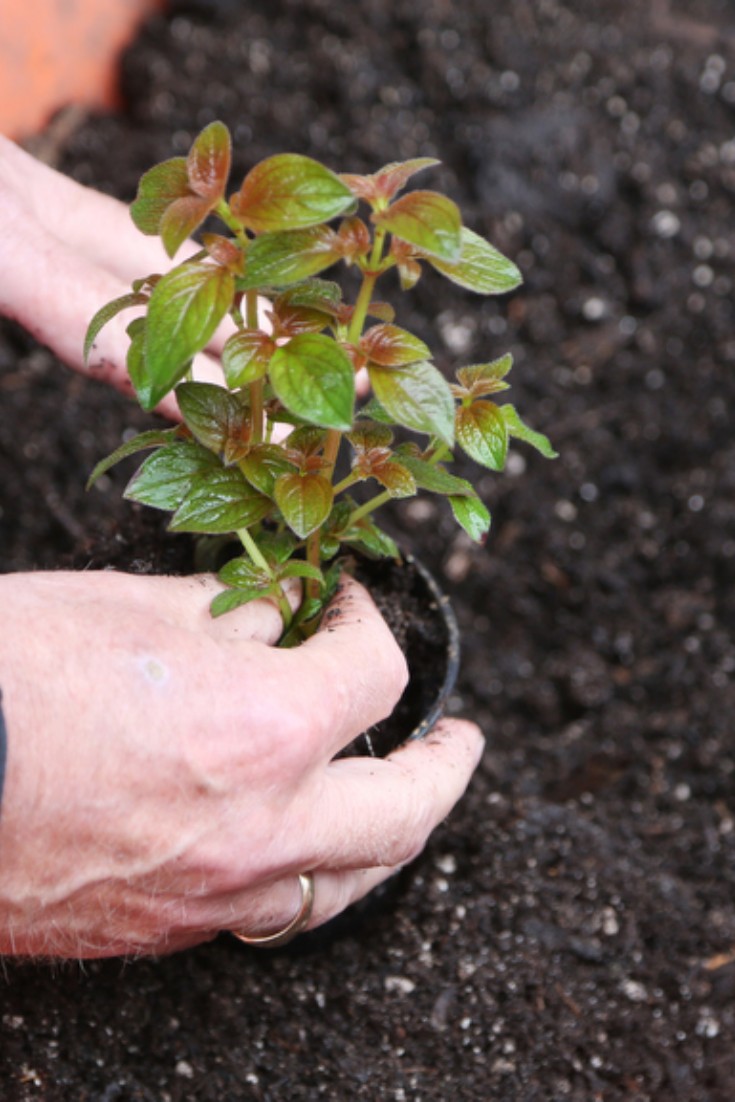 #PortCoquitlam residents! Get FREE compost at the Public Works Yard from 8am-4pm today (Apr. 6). Don't forget your pail, shovel and ID as proof of residency. 🪪 Made from organic waste collected through YOUR participation in our green cart program. See you there! 👋 #CityOfPoCo