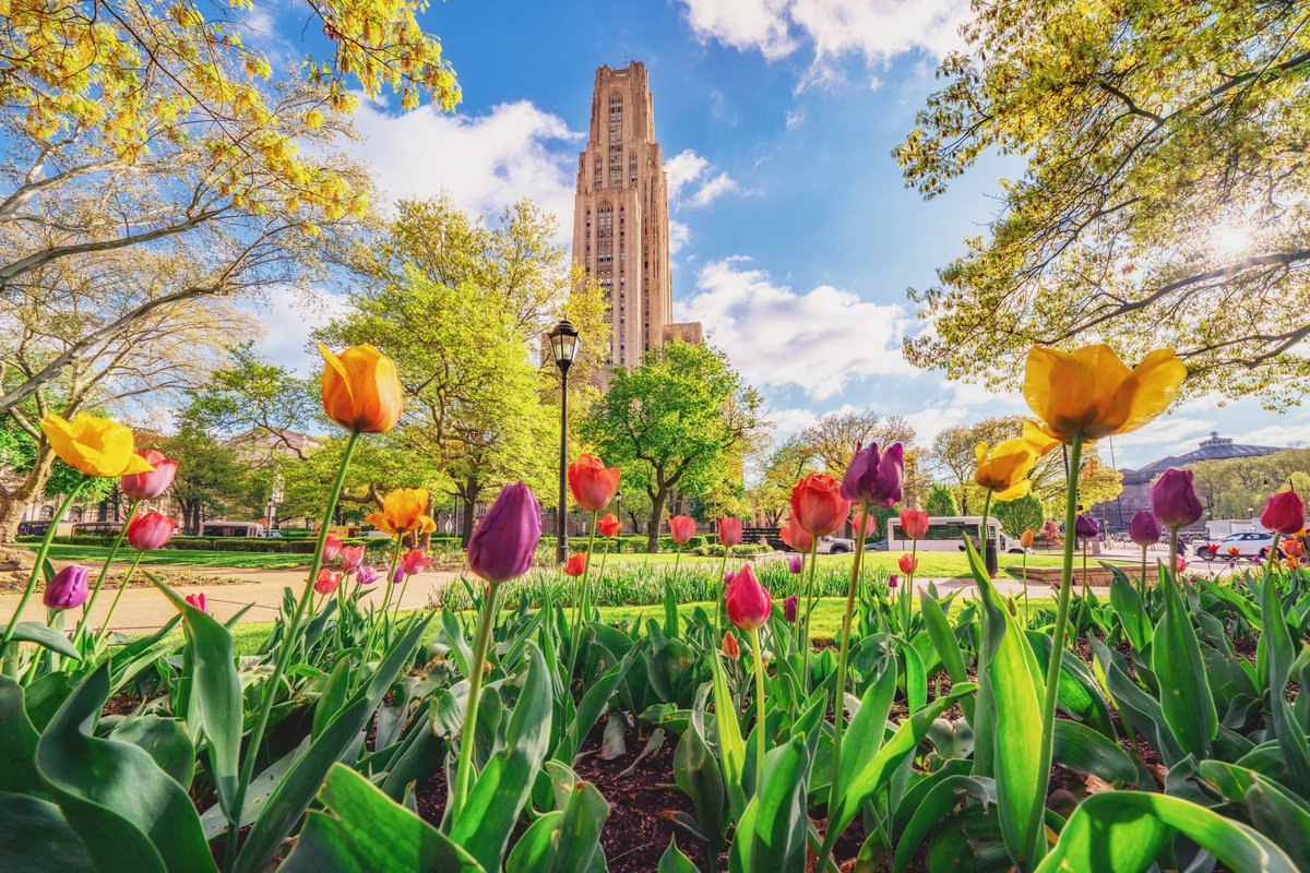 DaveDiCello's tweet image. I don't make it up to Oakland to capture Pitt's campus nearly as much as I used to. I should probably change that, but all the construction can be frustrating at times. This is one of my favorite springtime views though, captured a few years ago in a tulip bed.