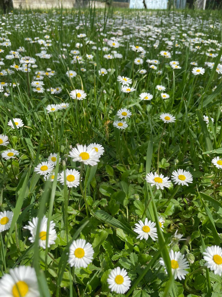 ChicnFit's tweet photo. 🌼 https://t.co/za5J84AZKK