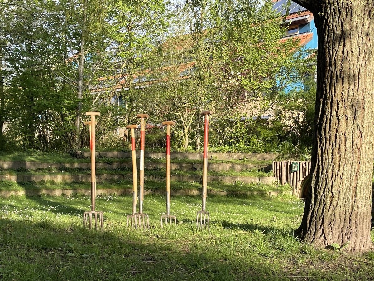 De Kersentuin tweet media