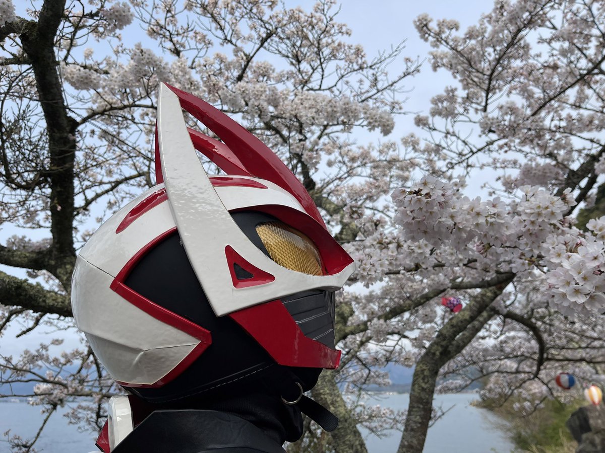 cosplayrider's tweet photo. 冬眠から目覚めたので今日は海津大崎に桜🌸を見に行ってきました😊
ええ感じに咲いてたよ👍 https://t.co/vS7eYSHugO