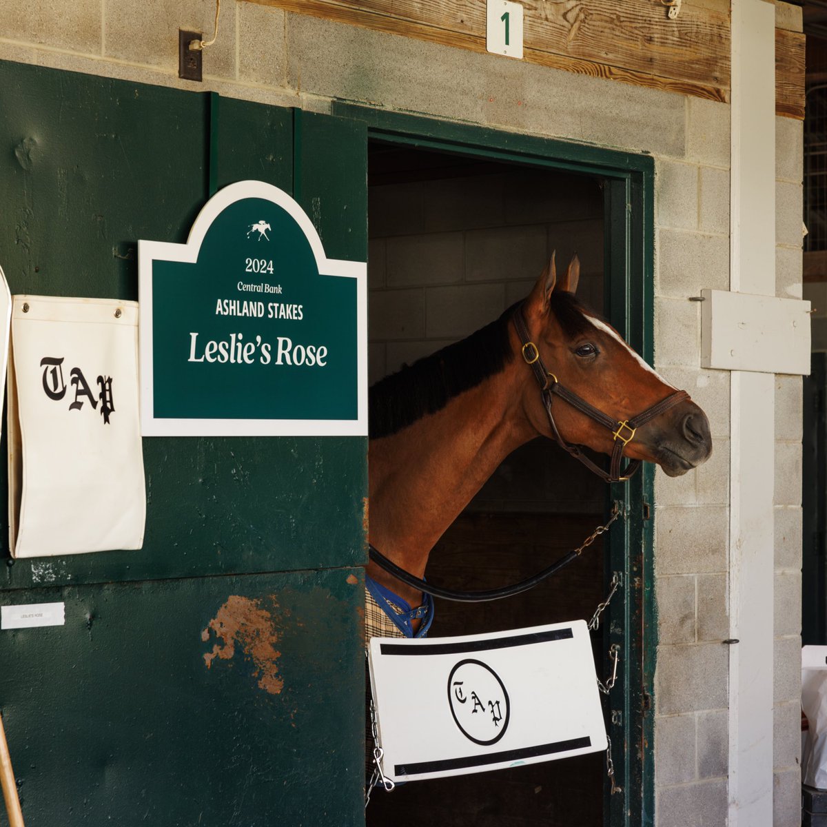 keenelandracing tweet picture