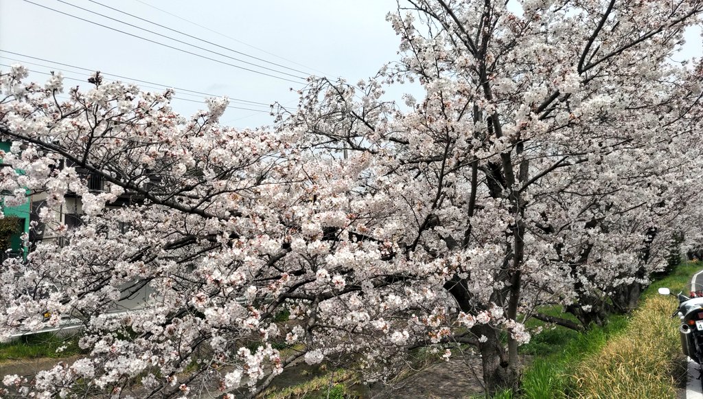 cbr660rr's tweet photo. あぁ〜〜〜〜〜〜！
やっと！
やっと！
やっとだよ〜〜〜！

やっとバイクに乗れたぁ〜〜〜！

仕事、家事…やる事がいっぱいあった！#バイク乗りと繋がりたい
#バイクのある風景 #バイク好きと繋がりたい #バイク好きな人と繋がりたい #バイクのある生活 #バイクライフ https://t.co/OeOTRFxAzD