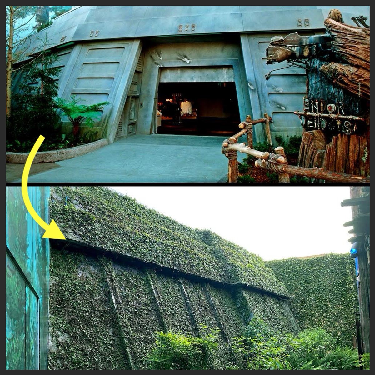 The Star Tours gift shop at Disney's Hollywood Studios was once the Imperial Bunker from Return of the Jedi. The shop later became Tatooine Traders-- a different planet. But the original bunker is still hiding behind it, covered in ivy! A parkeological ruin hiding in plain sight.