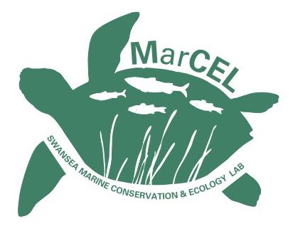 It’s finally time! My research group reached sufficient size to be named (by popular vote) Swansea Marine Conservation Ecology Lab & gain an impressive logo (thanks @Sophia_Coveney). Follow us to meet the team & for research updates on X & Instagram @MarCEL_Swansea