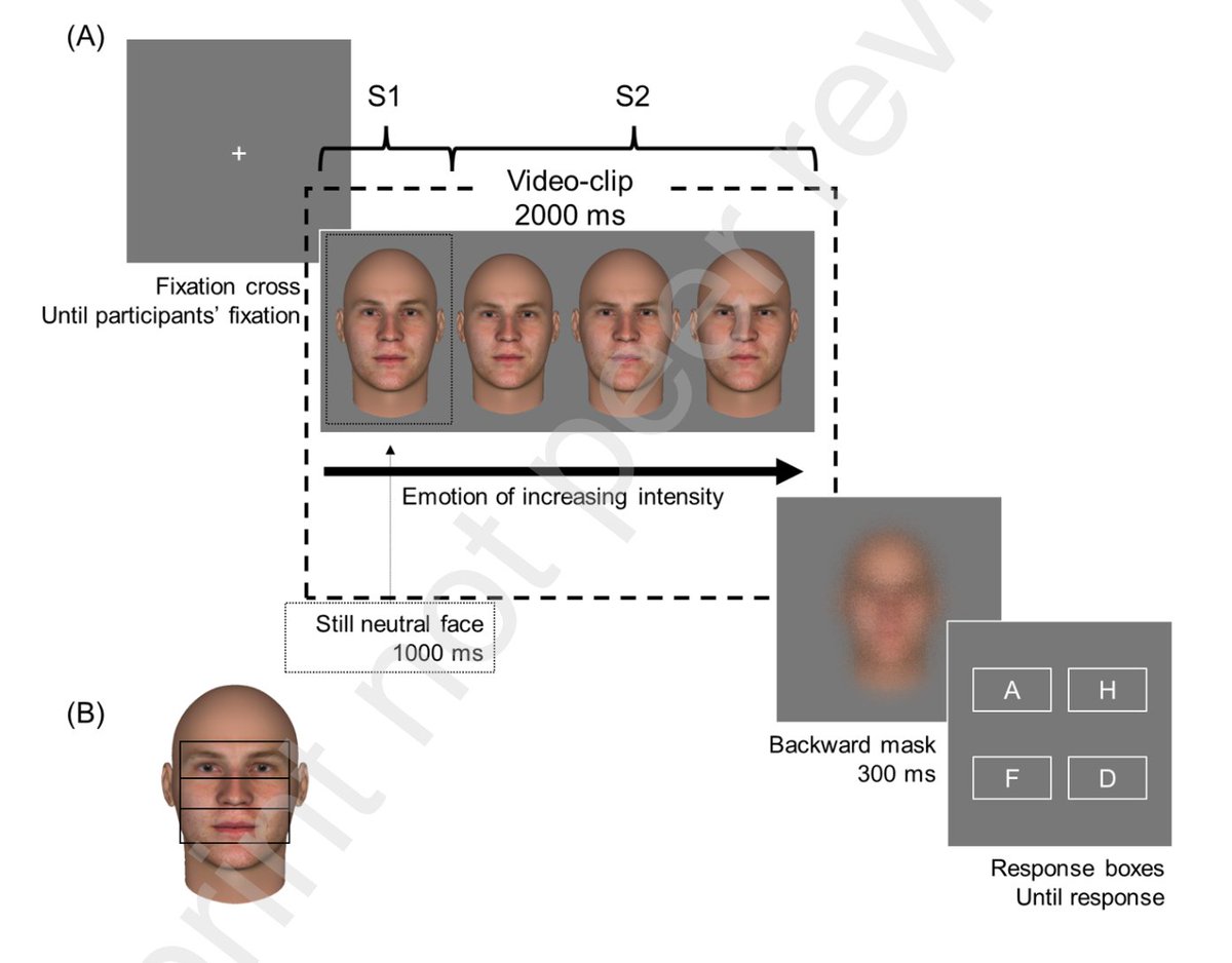 🆕 Excited to share our latest preprint <a href="/SSRN/">SSRN</a> co-authored with <a href="/AliceCartaud/">Alice Cartaud</a> on how personality influences gaze behavior in subtle emotion recognition—a key component of non-verbal communication! See what we found : papers.ssrn.com/sol3/papers.cf… 
#emotion #eyetracking #personality