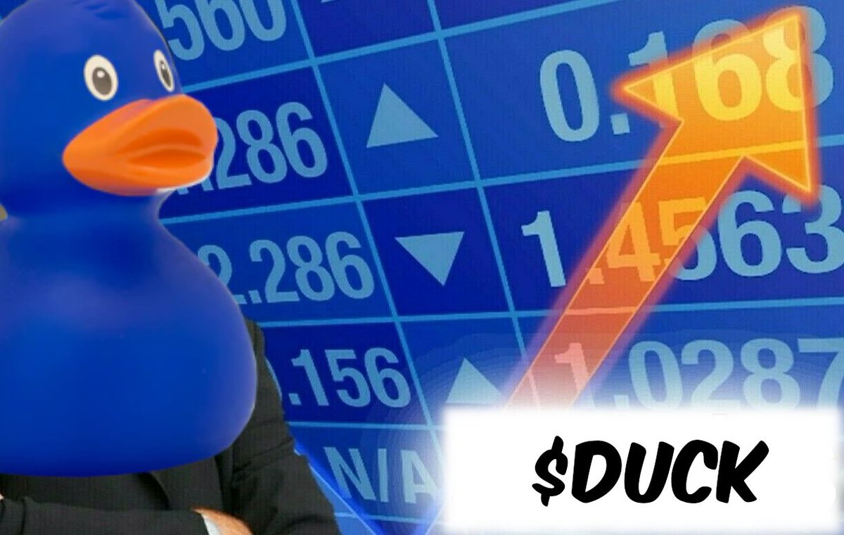 RubberDuckBase's tweet photo. That's what I call a ducking DONKS https://t.co/QrXhhV5kba
