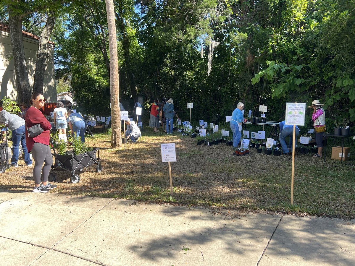 The Native Plant Expo is happening now at the Piggotte Center in South Daytona ‘till 2pm pawpaw.fnpschapters.org/chapter-plant-…