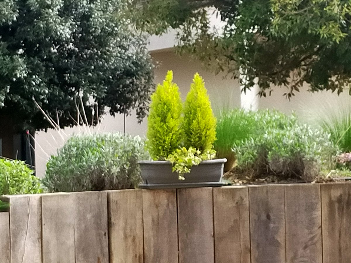 Toujours aussi beau ce jardin de l'ephad <a href="/FondationBellan/">FondationBellan</a>   à <a href="/ManteslaJolie_/">Mantes-la-Jolie</a>