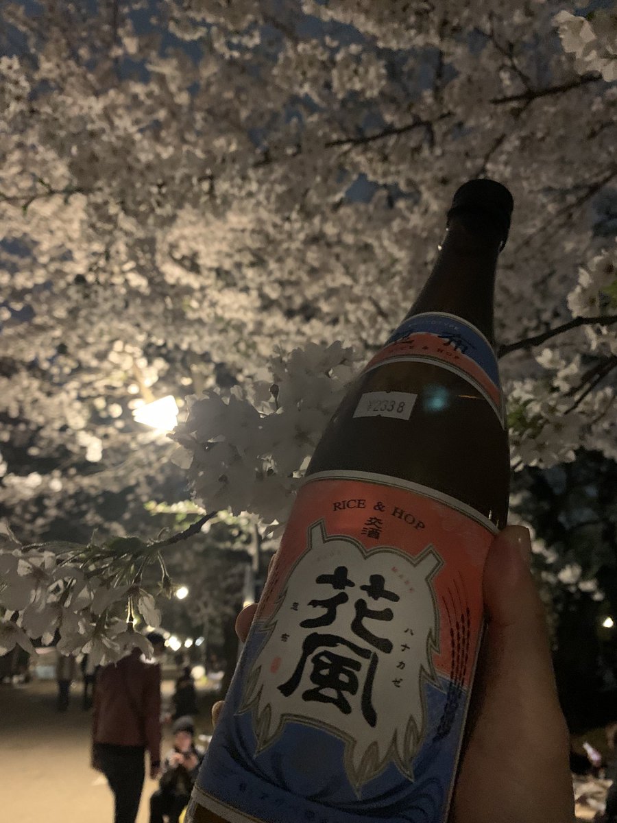 chonpe888's tweet photo. 花見で花風
旨い
 #稲とアガベ #花風 https://t.co/bwgqFYamaY